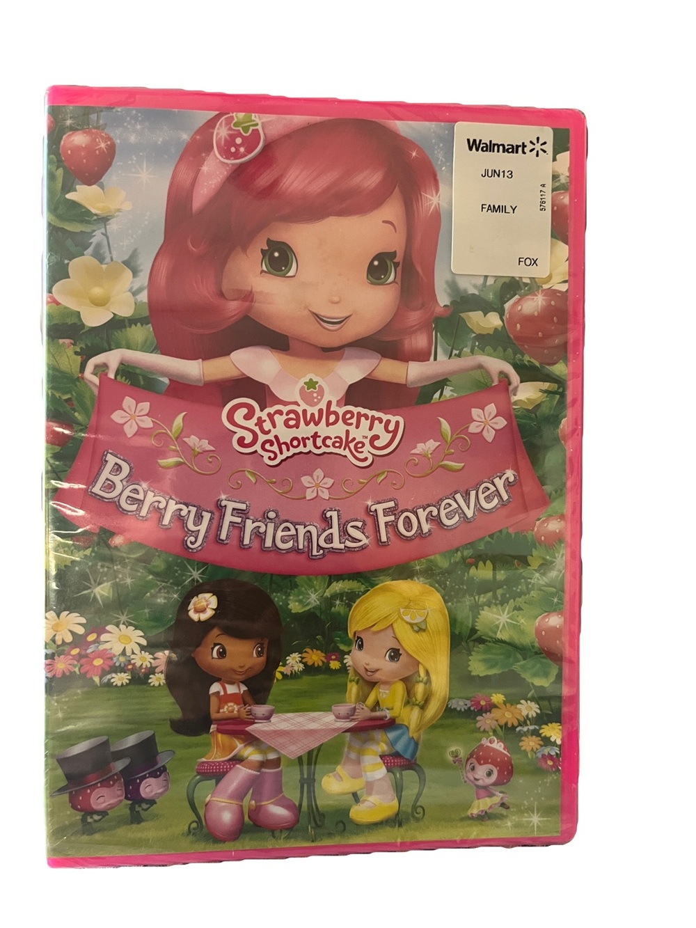 Strawberry Shortcake Berry Friends Forever DVD - NEW